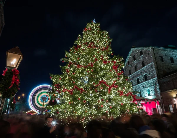 クリスマスのお祝い — ストック写真