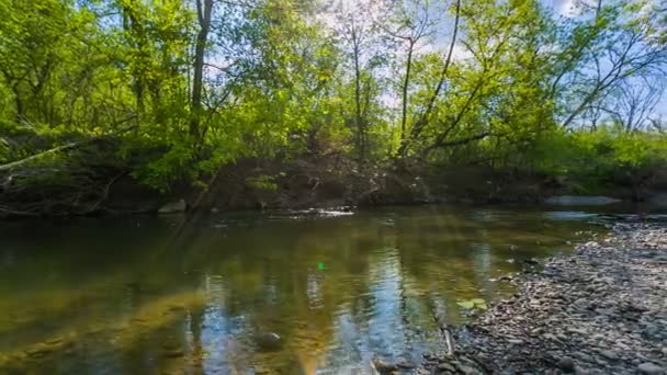La rivière coule dans le parc au printemps 
