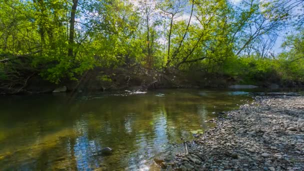 O rio flui no parque na primavera — Vídeo de Stock