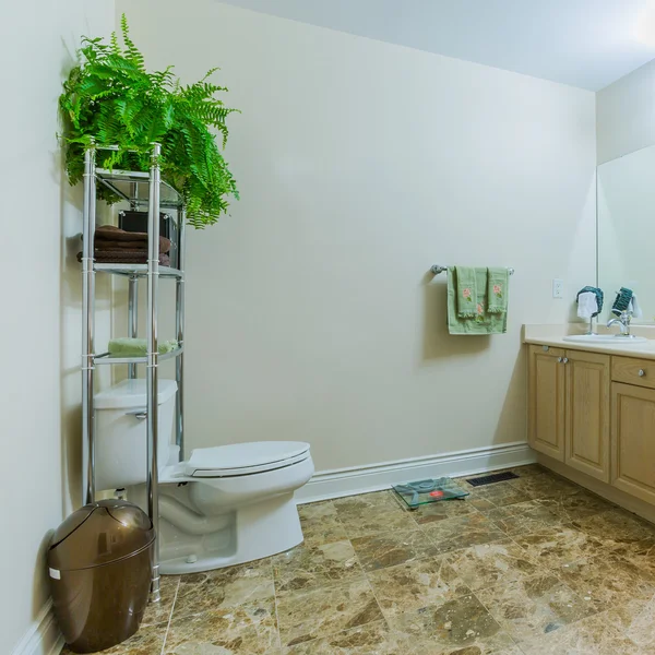 Дизайн ванной комнаты — стоковое фото