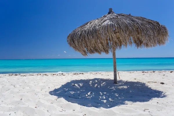 Beach Umbrella made of palm leafs on exotic beach — Stock Photo, Image