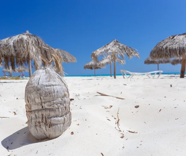 Tropisch strand op het eiland Cayo Largo — Stockfoto