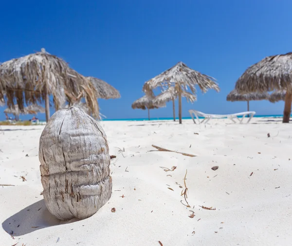 Tropisk strand på øya Cayo Largo – stockfoto