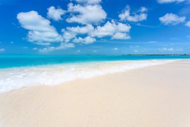 在长岛岛地处热带的海滩