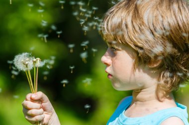 Çocuk yeşilde karahindiba üflüyor.