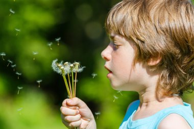 Çocuk yeşilde karahindiba üflüyor.
