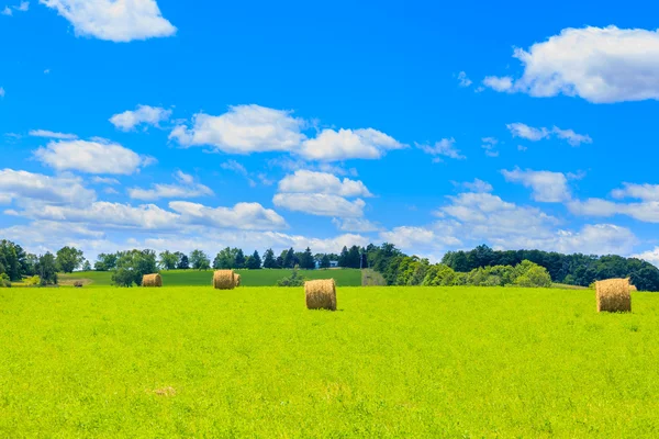 Kerek széna bálák a zöld mezőn — Stock Fotó