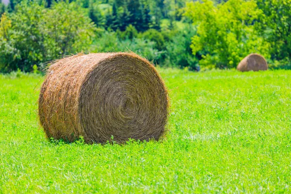 Pacas redondas de heno en el campo verde — Foto de Stock