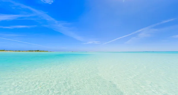 在长岛岛地处热带的海滩