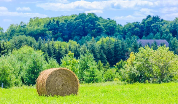 Kerek széna bálák a zöld mezőn — Stock Fotó