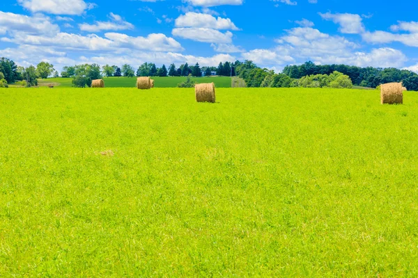 Kerek széna bálák a zöld mezőn — Stock Fotó