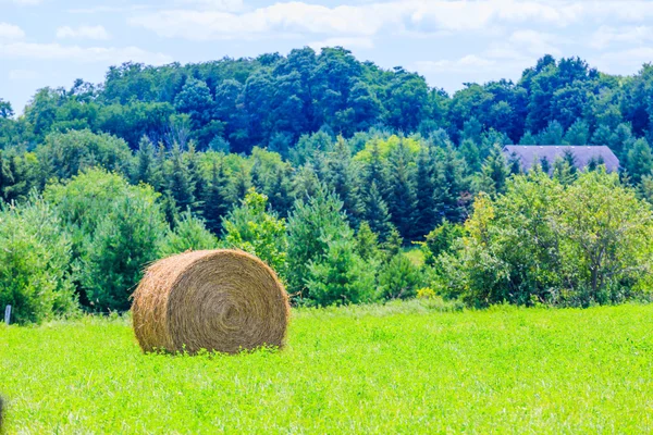 Kerek széna bálák a zöld mezőn — Stock Fotó