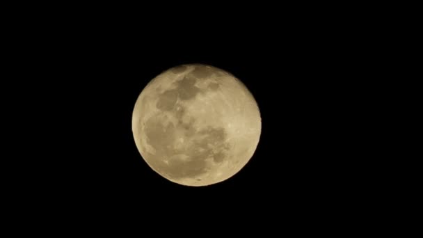 Helt Super moon — Stockvideo