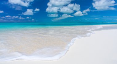 在长岛岛地处热带的海滩