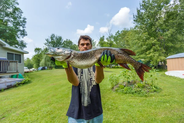 Pêcheur tenant un grand brochet — Photo