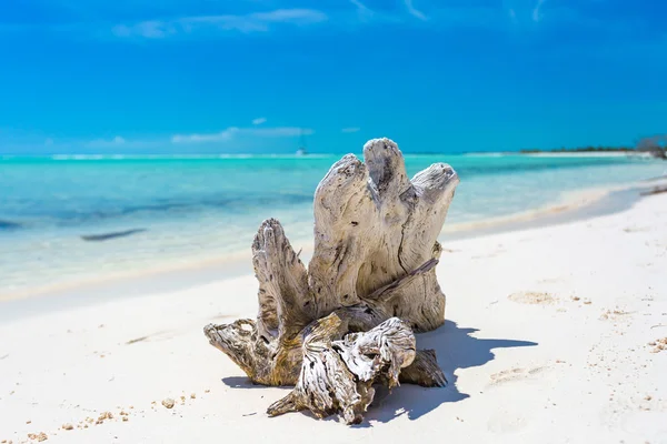 Haczyk na tropikalnej plaży — Zdjęcie stockowe