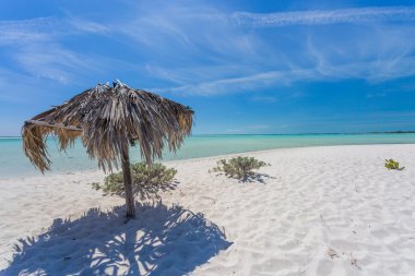 Plaj şemsiyesi avuç yapılan egzotik kumsalda yapraklar