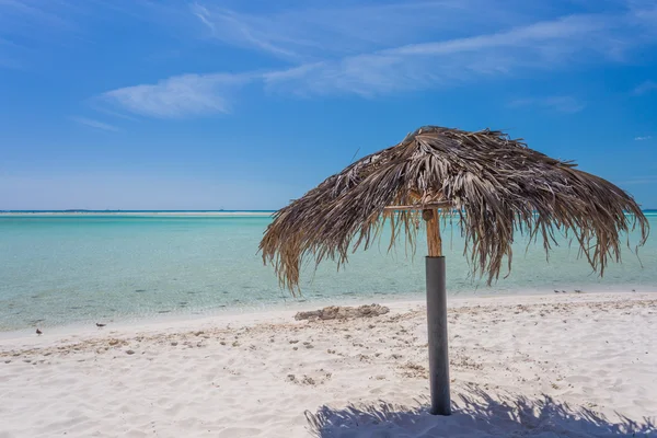 Beach Umbrella made of palm leafs on exotic beach — Stock Photo, Image