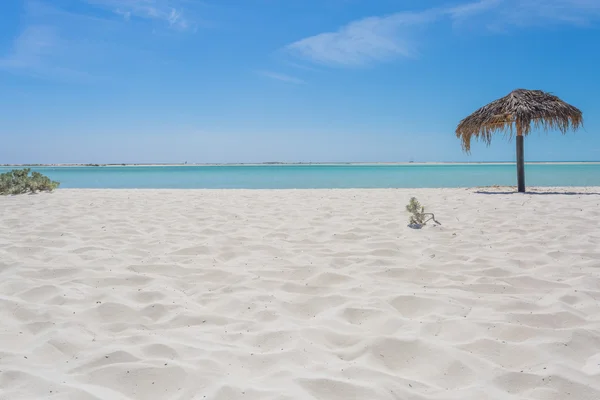 Parasoll av palm blad på exotiska strand — Stockfoto