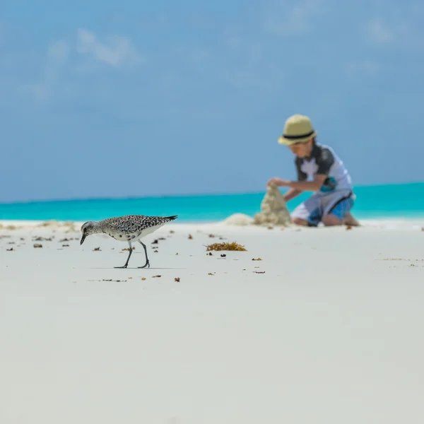 Little child making sand castles at the beach — Stock Photo, Image