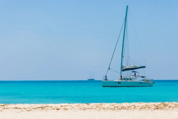 Catamaran à la plage — Photo