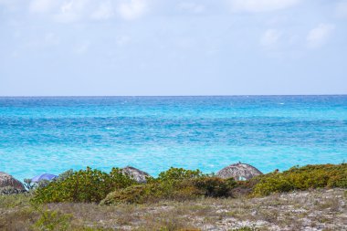 在长岛岛地处热带的海滩