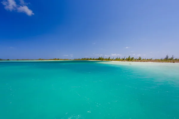 Tropisk strand i Cayo Largo ø - Stock-foto