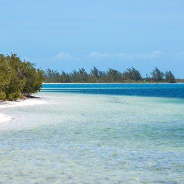 在长岛岛地处热带的海滩