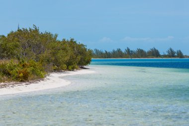在长岛岛地处热带的海滩
