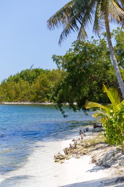 在长岛岛地处热带的海滩