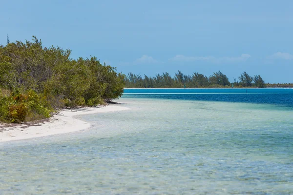 Tropisch strand in Cayo Largo eiland — Zdjęcie stockowe