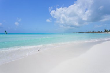 在长岛岛地处热带的海滩
