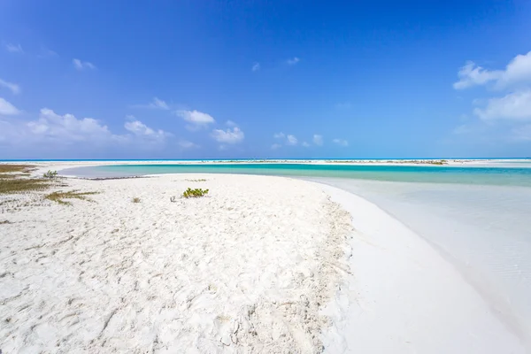 Tropical beach in Cayo Largo island — Stock Photo, Image