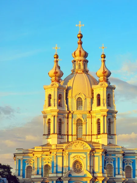 De smolny-kathedraal Rechtenvrije Stockfoto's