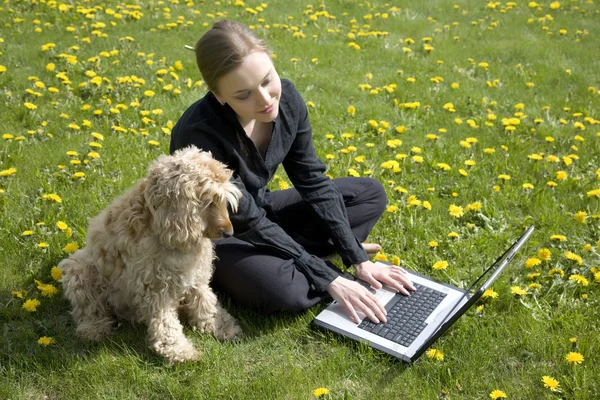 Working Together — Stock Photo, Image