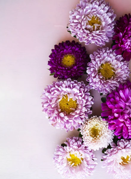 淡紫色的紫丁香花躺在粉红色的木制背景上 案文的位置 — 图库照片