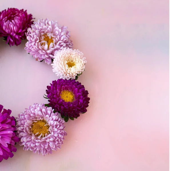 Quadratisches Rosafarbenes Holzbanner Mit Aster Blumen Die Einem Kranz Liegen — Stockfoto