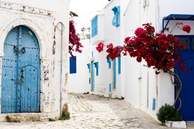 Mavi kapı, pencere ve Sidi Bou Said inşaat beyaz duvar