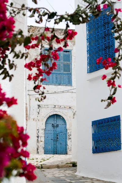 Portes bleues, fenêtre et mur blanc du bâtiment à Sidi Bou Said — Photo