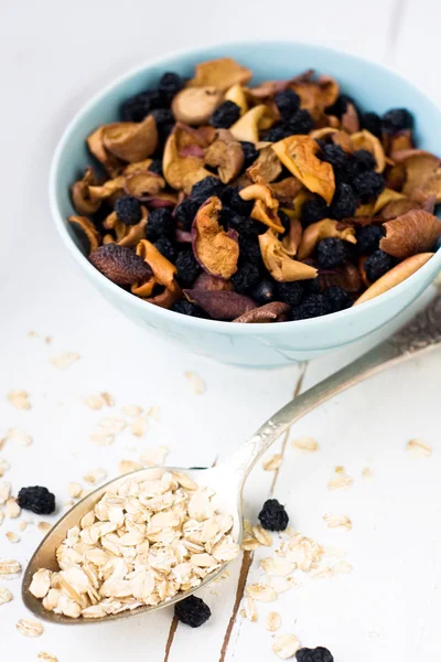 Blue plate with dried apples and berries and a spoon of oatmeal — Stock Photo, Image