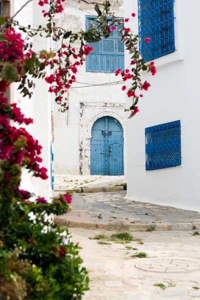 Blauwe deuren, venster en witte muur van het gebouw in Sidi Bou Said, — Stockfoto