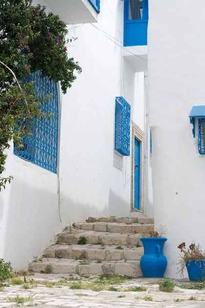 Modrý dveře, okno a bílé zdi budovy v Sidi Bou Said, — Stock fotografie