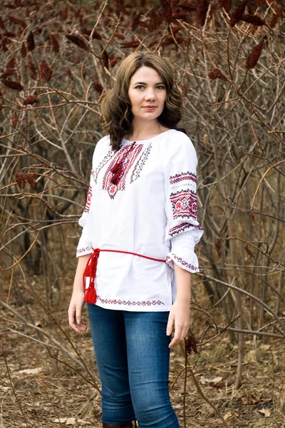 Portrait of a beautiful young Ukrainian embroidered shirt — Stock Photo, Image