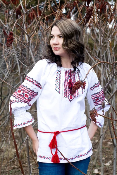 Портрет красивой молодой украинской вышитой рубашки — стоковое фото