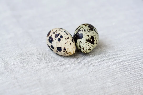 Deux œufs de caille couchés sur un fond clair — Photo