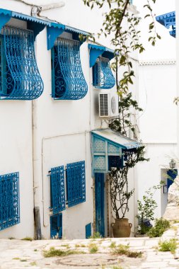 Mavi kapı, pencere ve Sidi Bou Said inşaat beyaz duvar, 