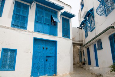 Mavi kapı, pencere ve Sidi Bou Said inşaat beyaz duvar, 