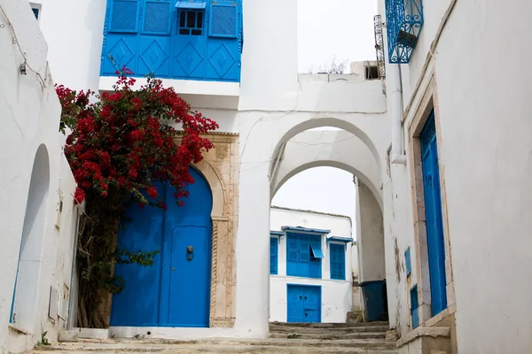 Portes bleues, fenêtre et mur blanc du bâtiment à Sidi Bou Said , — Photo