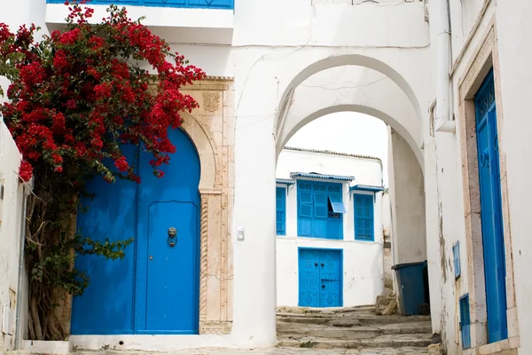 Portes bleues, fenêtre et mur blanc du bâtiment à Sidi Bou Said , — Photo