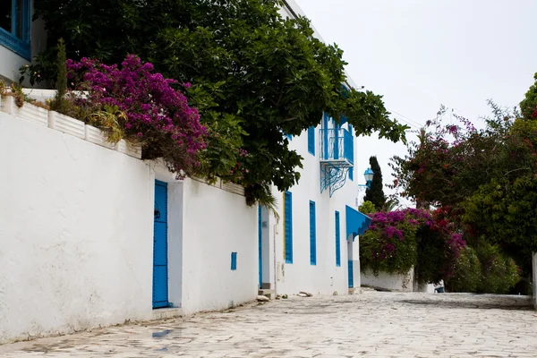 Blaue Türen, Fenster und weiße Wand des Gebäudes in sidi bou sagte, — Stockfoto